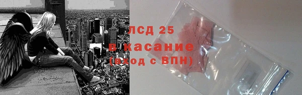 прущие грибы Балахна