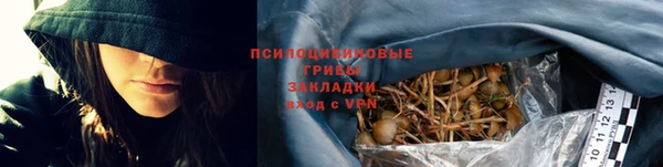 прущие грибы Балахна