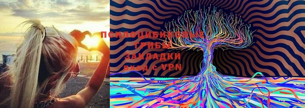 мдпв Баксан