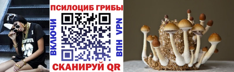 ссылка на мегу вход где найти наркотики Кировск Псилоцибиновые грибы GOLDEN TEACHER